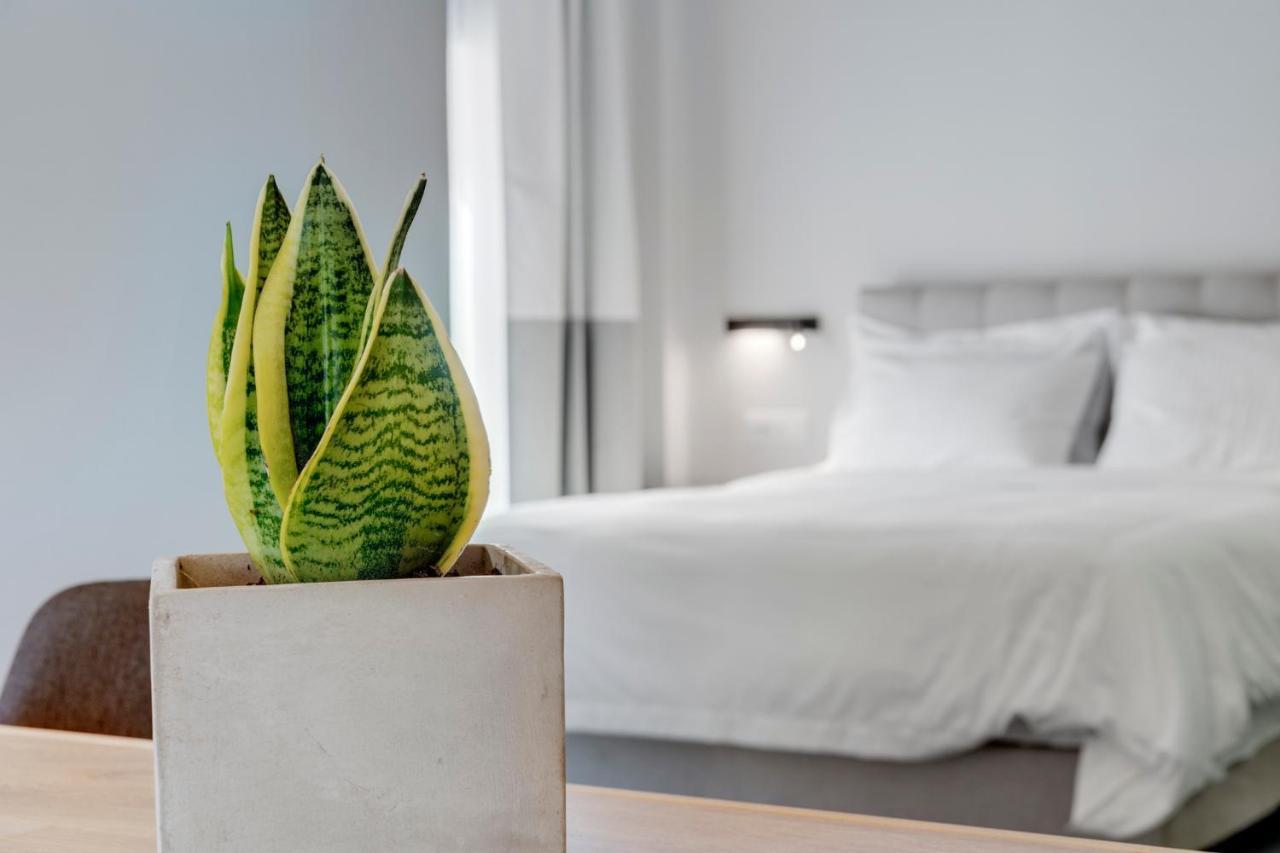 ארמופוליס Times Elegant Rooms מראה חיצוני תמונה