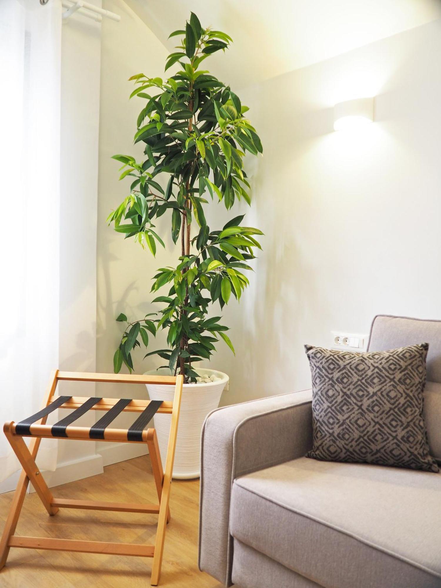 ארמופוליס Times Elegant Rooms מראה חיצוני תמונה
